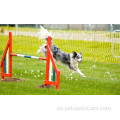 Entrenamiento de comportamiento de perros Jugando Equipo de entrenamiento de agilidad del perro